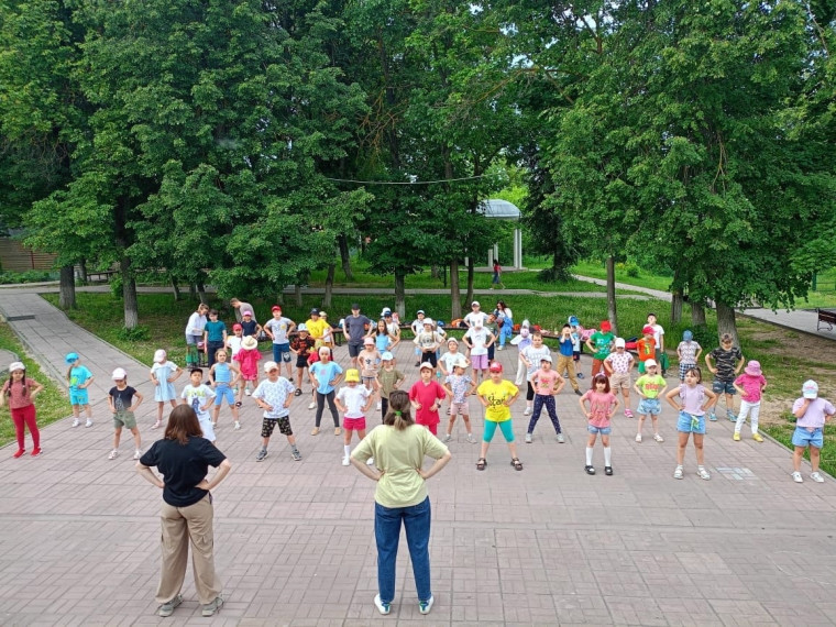 Отдых и оздоровление учащихся.