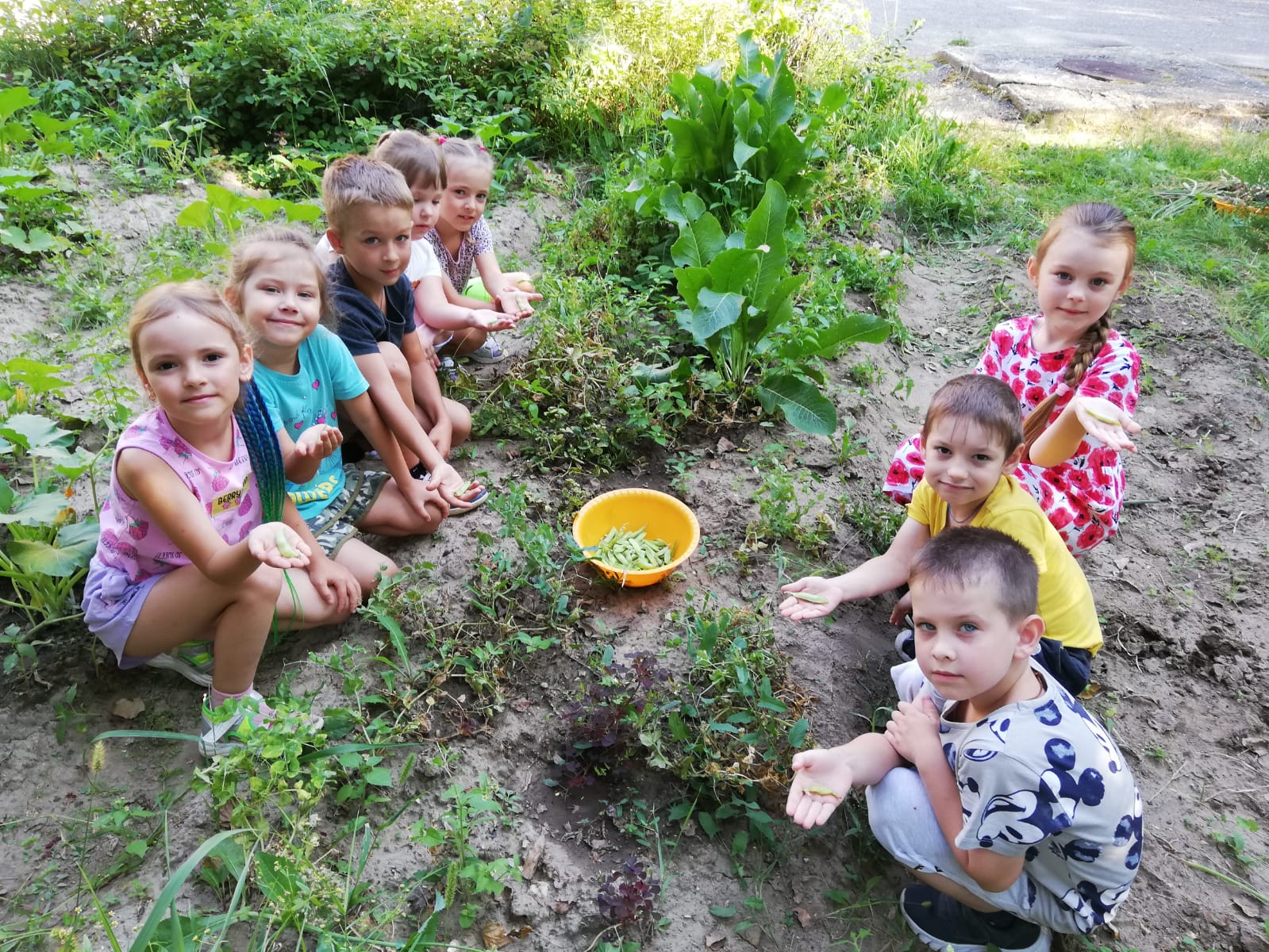 Трудовой десант.